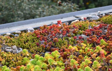 the cost of Gainford green roof installation