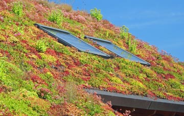 Gainford living roof systems