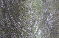 Gainford fibreglass roof work